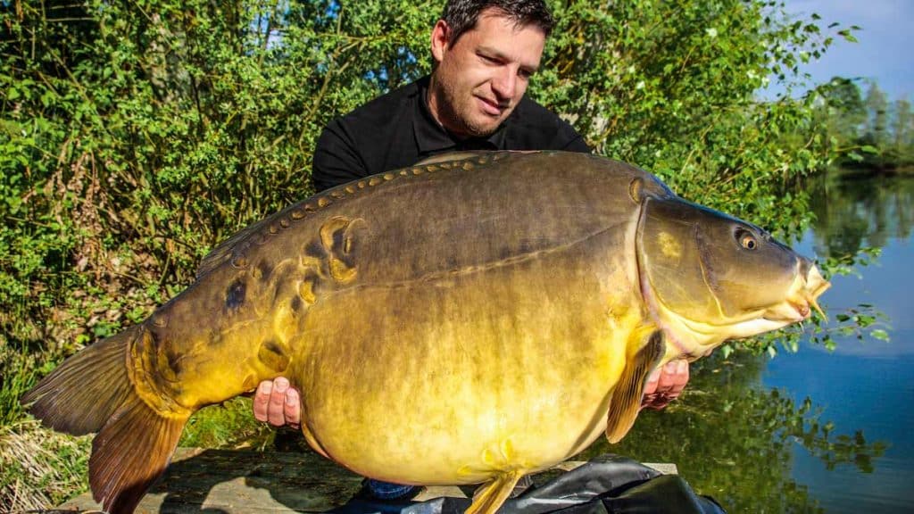 https://revistajaraysedal.es/wp-content/uploads/2021/08/pesca-galicia-puerto.jpg
