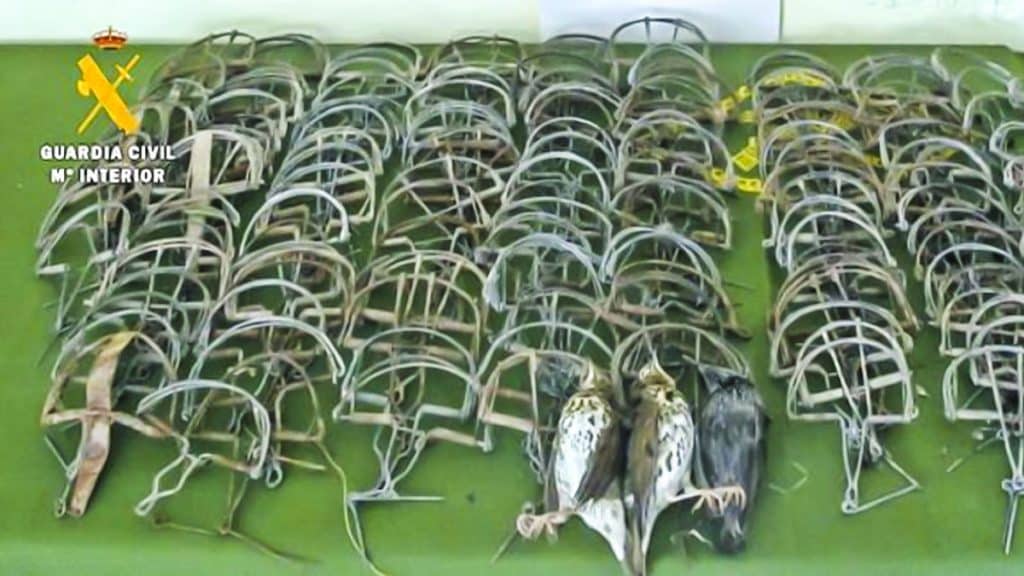 https://revistajaraysedal.es/wp-content/uploads/2021/08/pesca-galicia-puerto.jpg