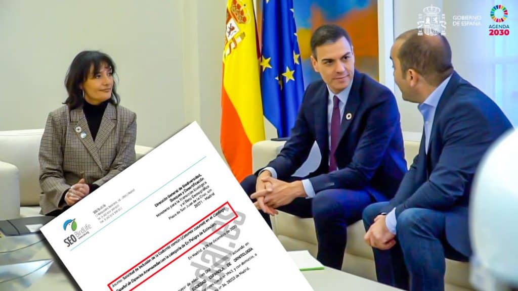 https://revistajaraysedal.es/wp-content/uploads/2021/08/pesca-galicia-puerto.jpg
