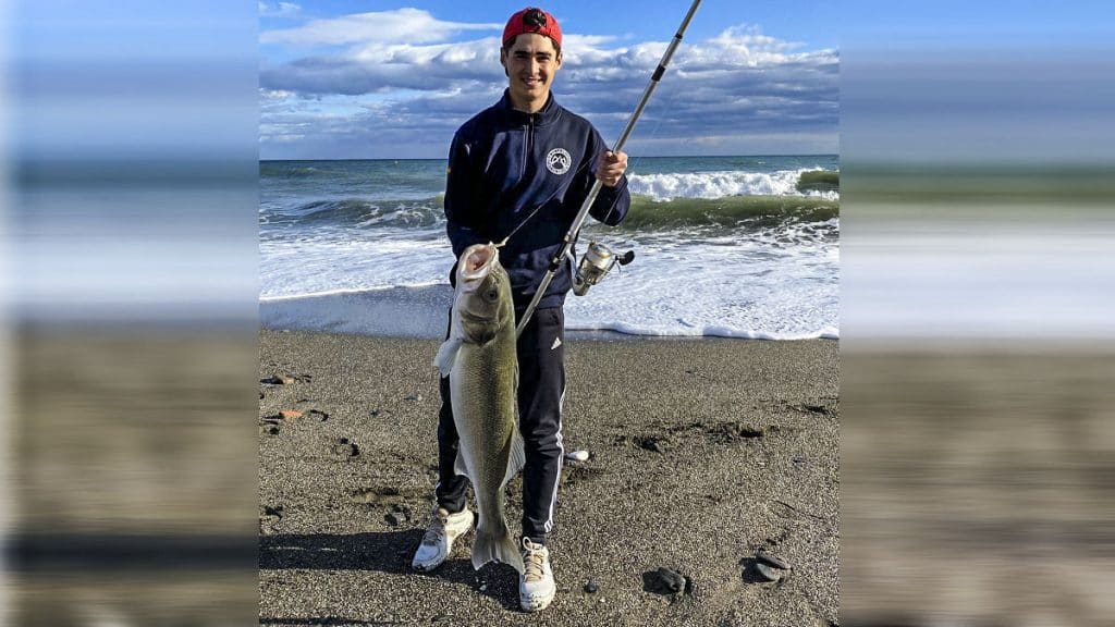https://revistajaraysedal.es/wp-content/uploads/2021/08/pesca-galicia-puerto.jpg