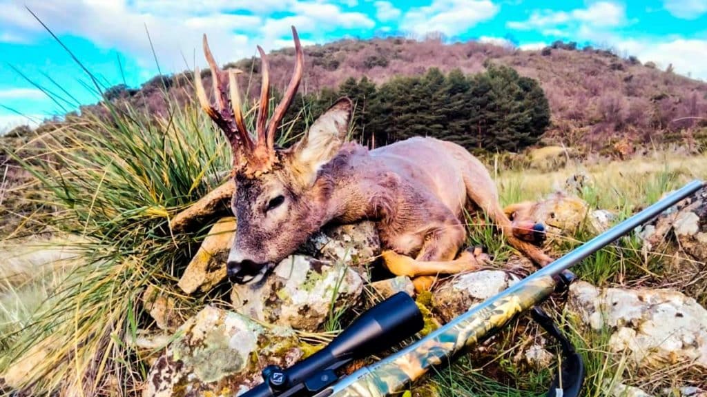 https://revistajaraysedal.es/wp-content/uploads/2021/08/pesca-galicia-puerto.jpg