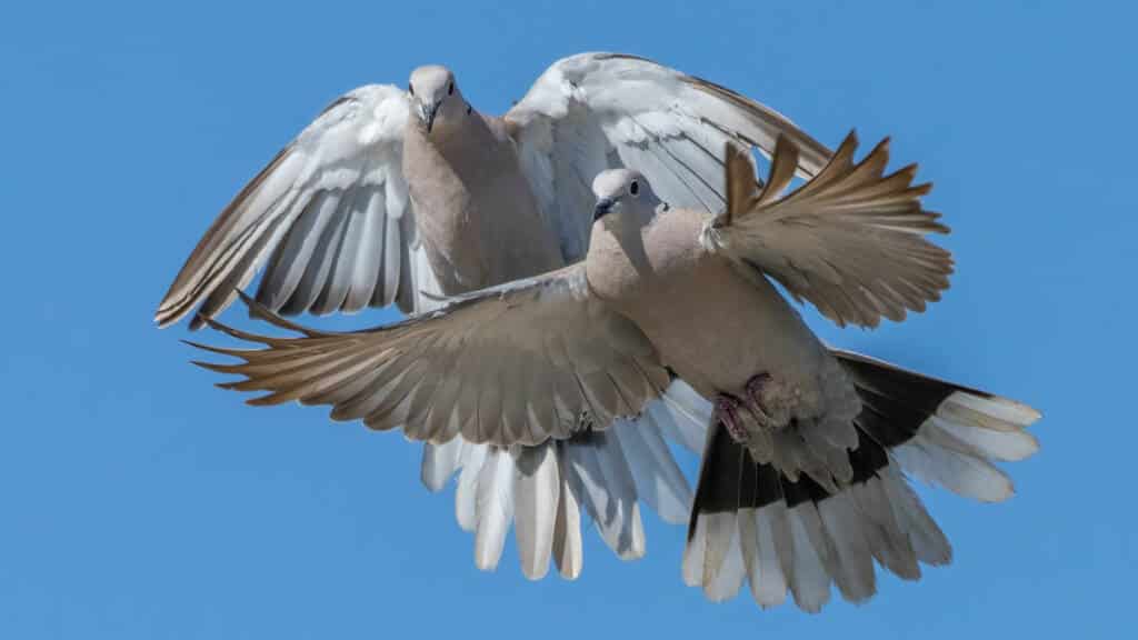 https://revistajaraysedal.es/wp-content/uploads/2021/08/pesca-galicia-puerto.jpg