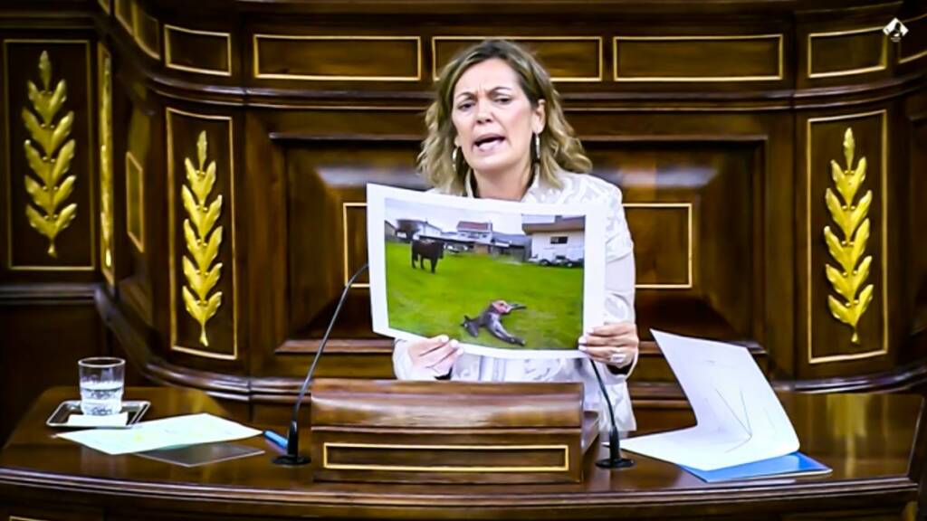 https://revistajaraysedal.es/wp-content/uploads/2021/08/pesca-galicia-puerto.jpg