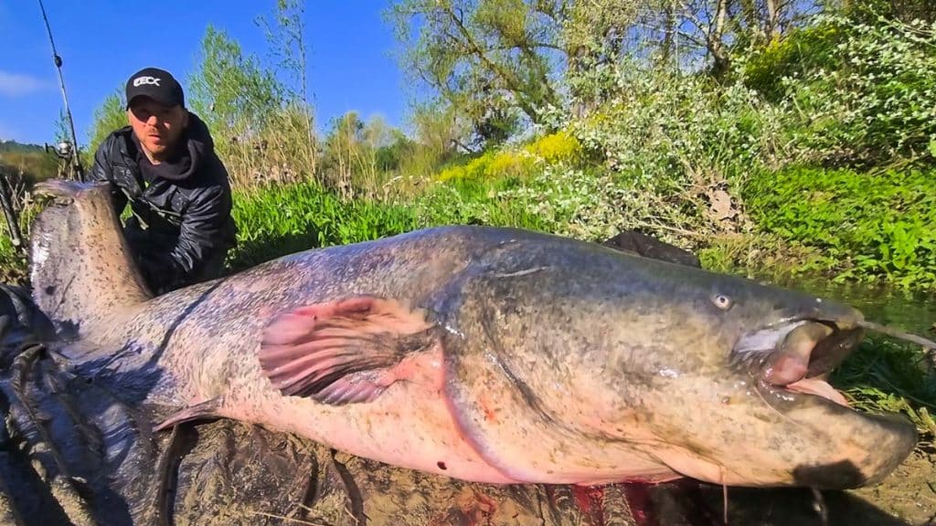https://revistajaraysedal.es/wp-content/uploads/2021/08/pesca-galicia-puerto.jpg