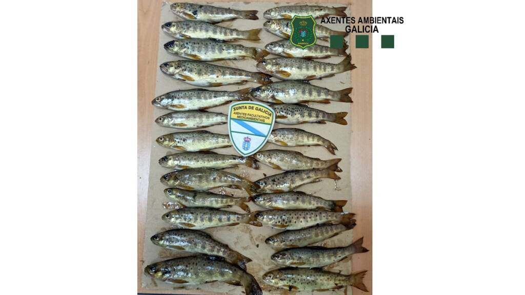 https://revistajaraysedal.es/wp-content/uploads/2021/08/pesca-galicia-puerto.jpg