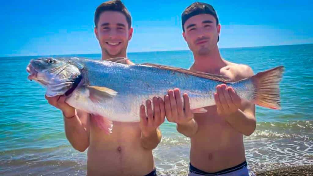 https://revistajaraysedal.es/wp-content/uploads/2021/08/pesca-galicia-puerto.jpg