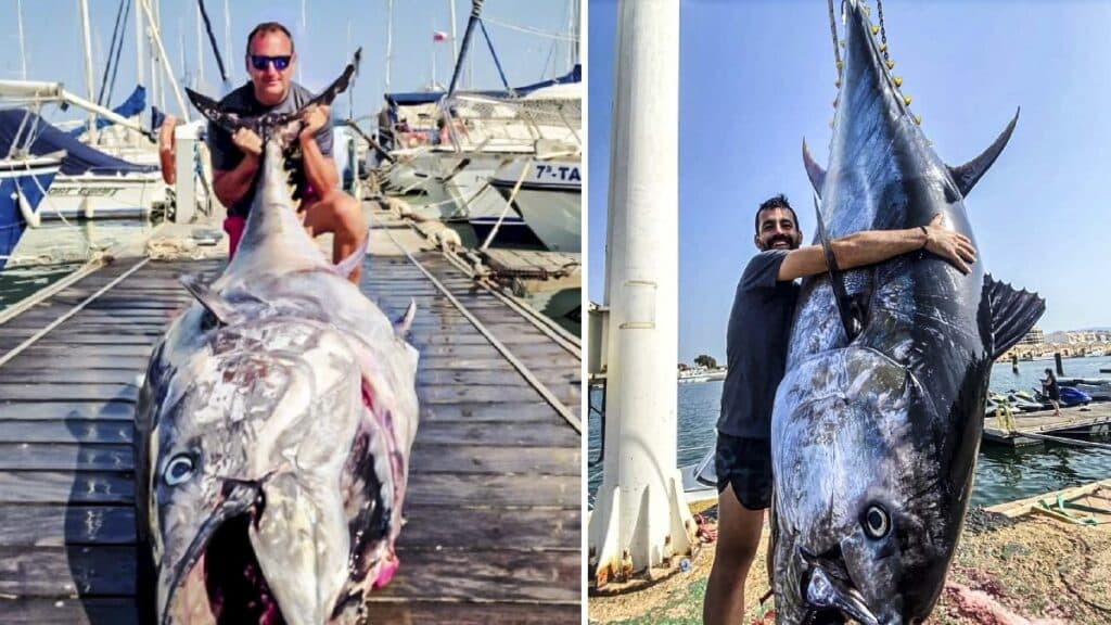 https://revistajaraysedal.es/wp-content/uploads/2021/08/pesca-galicia-puerto.jpg
