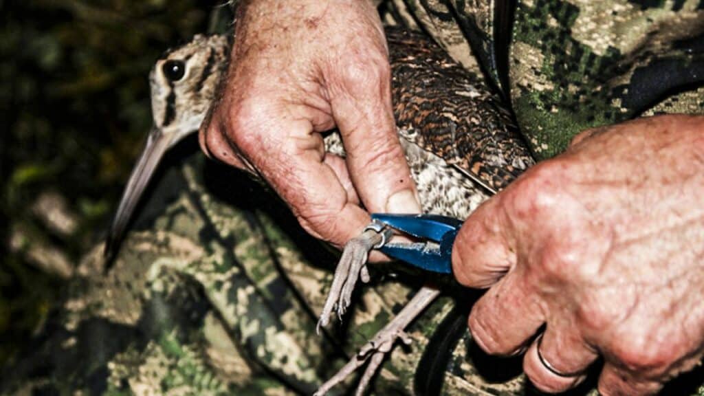 https://revistajaraysedal.es/wp-content/uploads/2021/08/pesca-galicia-puerto.jpg