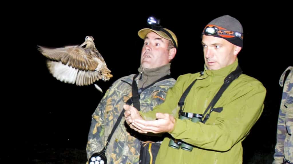 https://revistajaraysedal.es/wp-content/uploads/2021/08/pesca-galicia-puerto.jpg