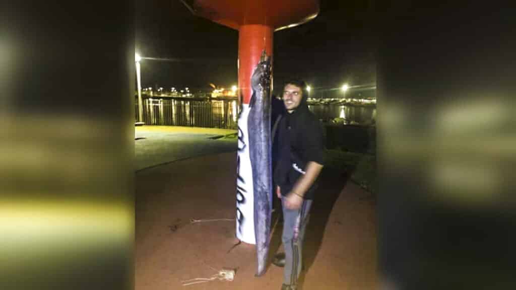 https://revistajaraysedal.es/wp-content/uploads/2021/08/pesca-galicia-puerto.jpg