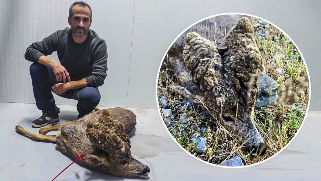https://revistajaraysedal.es/wp-content/uploads/2021/08/pesca-galicia-puerto.jpg