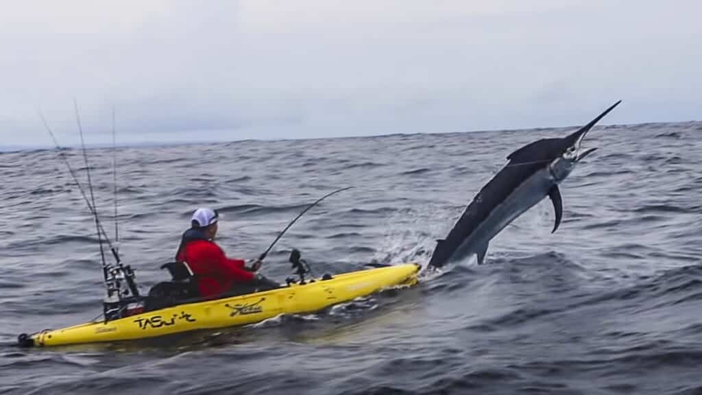 https://revistajaraysedal.es/wp-content/uploads/2021/08/pesca-galicia-puerto.jpg
