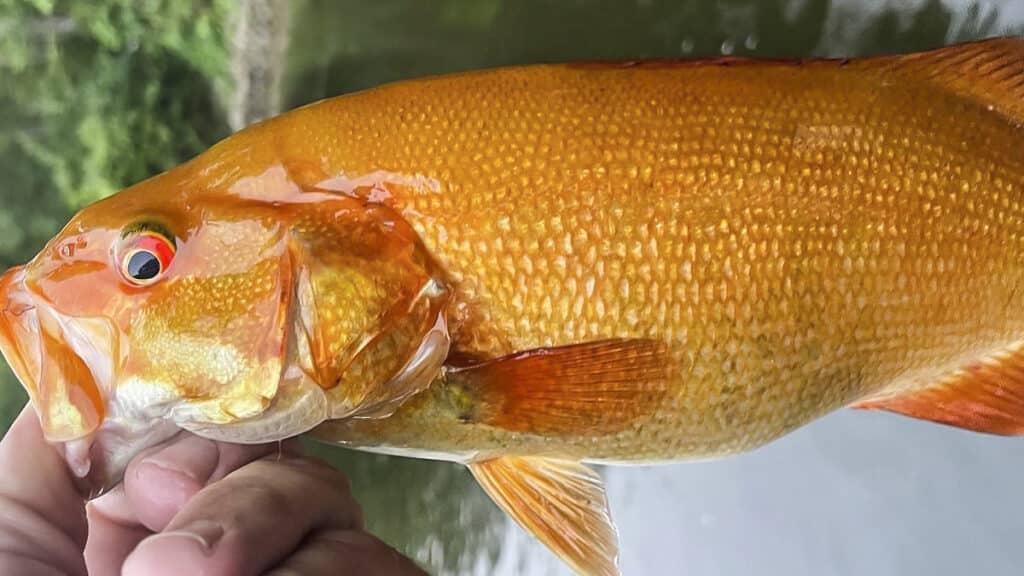 https://revistajaraysedal.es/wp-content/uploads/2021/08/pesca-galicia-puerto.jpg