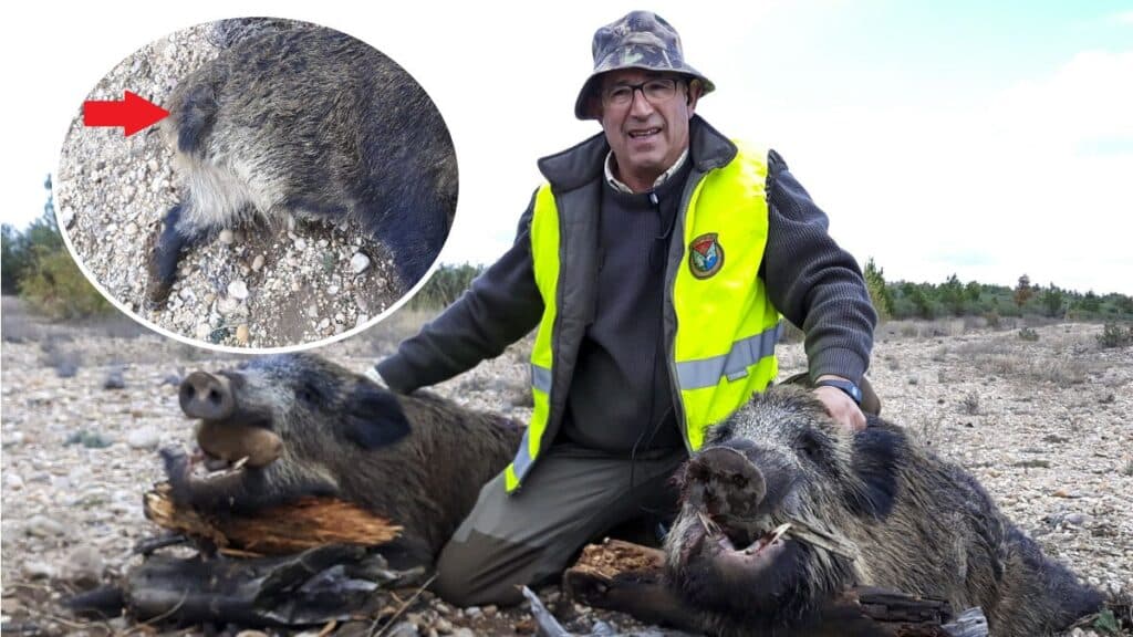 https://revistajaraysedal.es/wp-content/uploads/2021/08/pesca-galicia-puerto.jpg