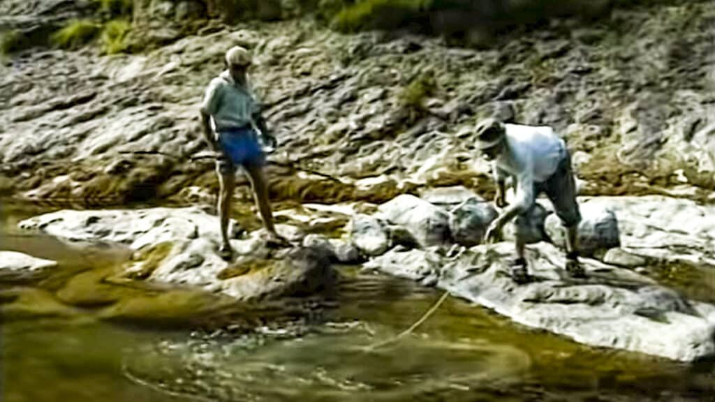 https://revistajaraysedal.es/wp-content/uploads/2021/08/pesca-galicia-puerto.jpg