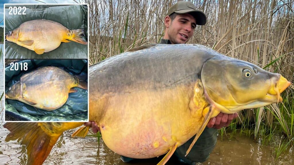 https://revistajaraysedal.es/wp-content/uploads/2021/08/pesca-galicia-puerto.jpg