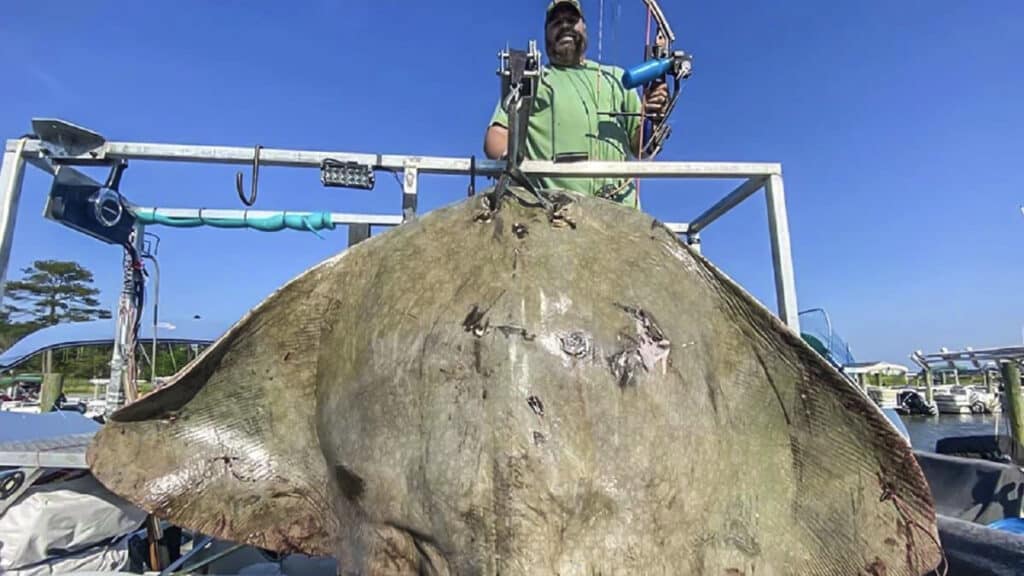 https://revistajaraysedal.es/wp-content/uploads/2021/08/pesca-galicia-puerto.jpg