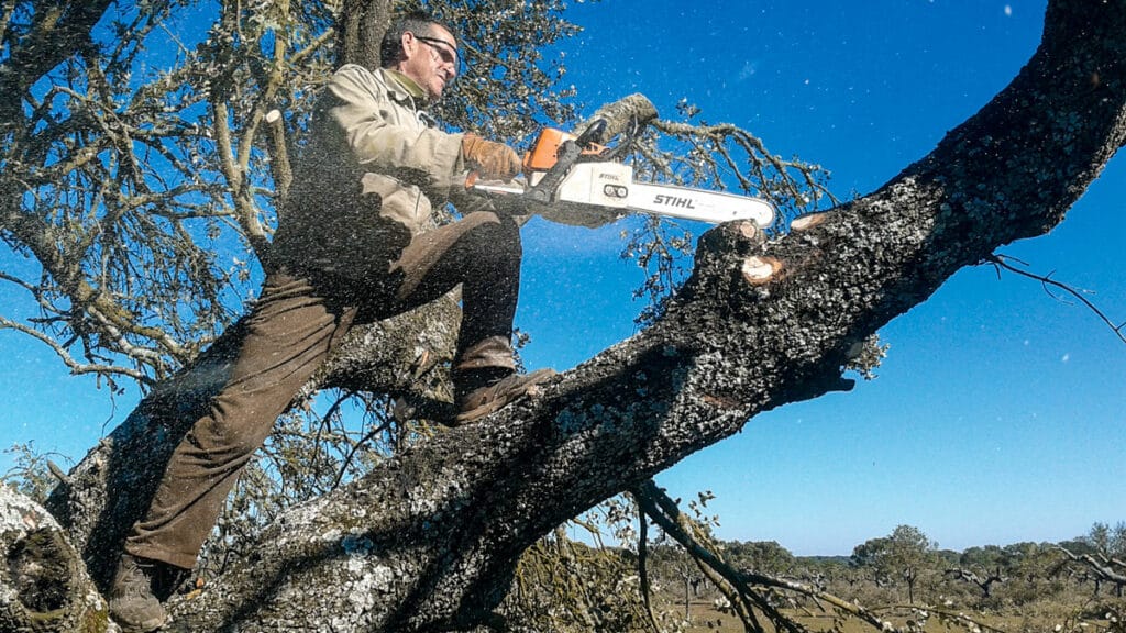 https://revistajaraysedal.es/wp-content/uploads/2021/08/pesca-galicia-puerto.jpg