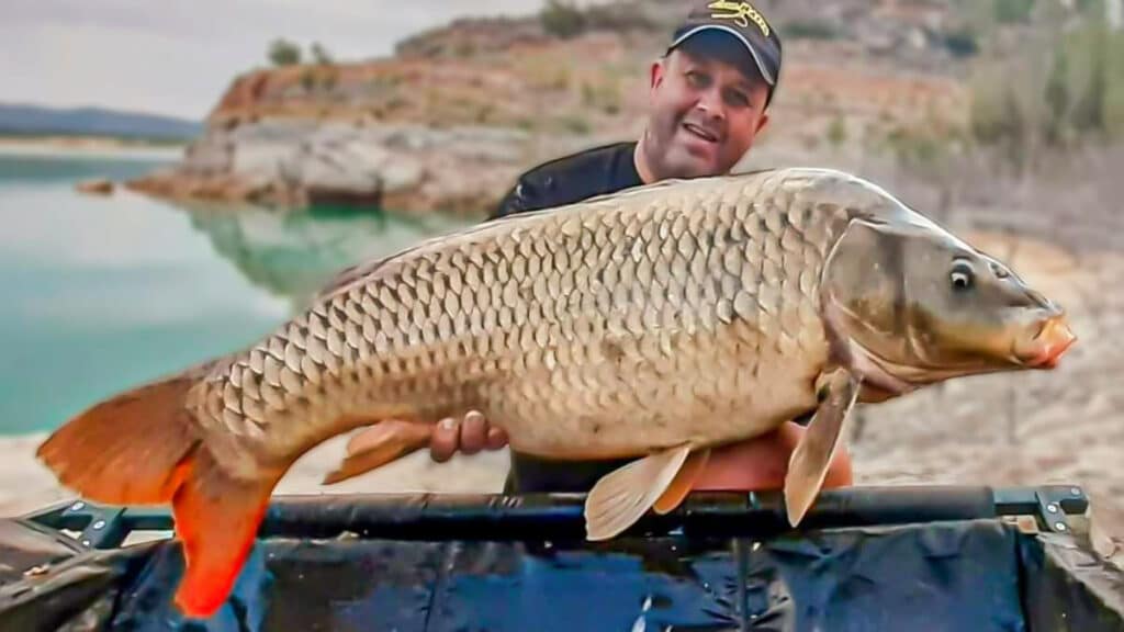 https://revistajaraysedal.es/wp-content/uploads/2021/08/pesca-galicia-puerto.jpg