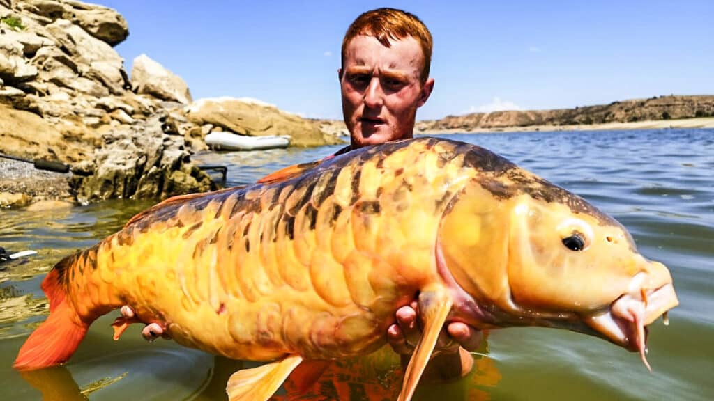 https://revistajaraysedal.es/wp-content/uploads/2021/08/pesca-galicia-puerto.jpg