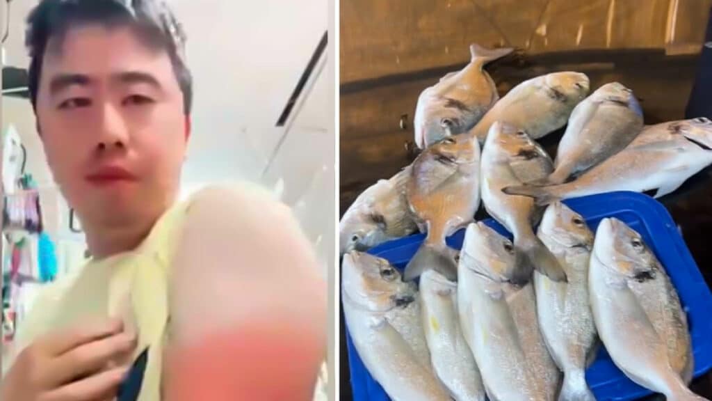 https://revistajaraysedal.es/wp-content/uploads/2021/08/pesca-galicia-puerto.jpg