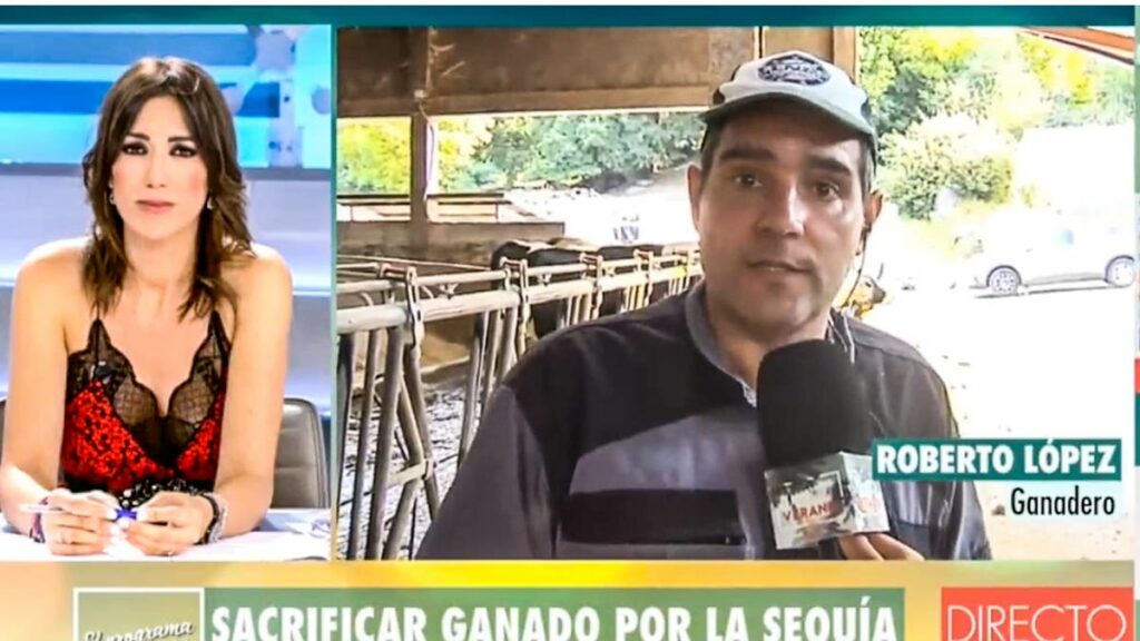 https://revistajaraysedal.es/wp-content/uploads/2021/08/pesca-galicia-puerto.jpg