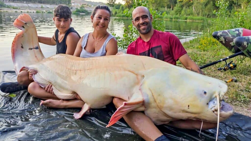 https://revistajaraysedal.es/wp-content/uploads/2021/08/pesca-galicia-puerto.jpg