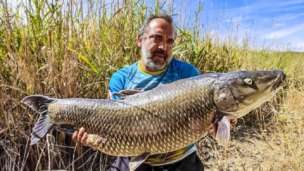 https://revistajaraysedal.es/wp-content/uploads/2021/08/pesca-galicia-puerto.jpg