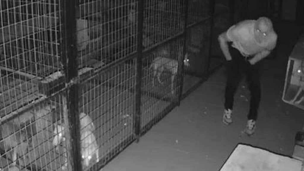 https://revistajaraysedal.es/wp-content/uploads/2021/08/pesca-galicia-puerto.jpg