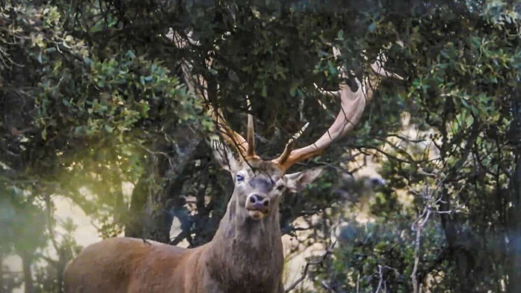https://revistajaraysedal.es/wp-content/uploads/2021/08/pesca-galicia-puerto.jpg