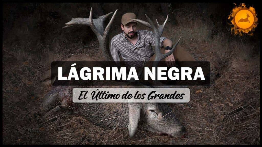 https://revistajaraysedal.es/wp-content/uploads/2021/08/pesca-galicia-puerto.jpg