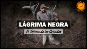 https://revistajaraysedal.es/wp-content/uploads/2021/08/pesca-galicia-puerto.jpg