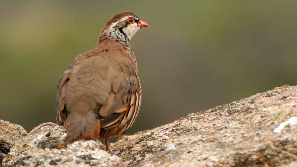 https://revistajaraysedal.es/wp-content/uploads/2021/08/pesca-galicia-puerto.jpg