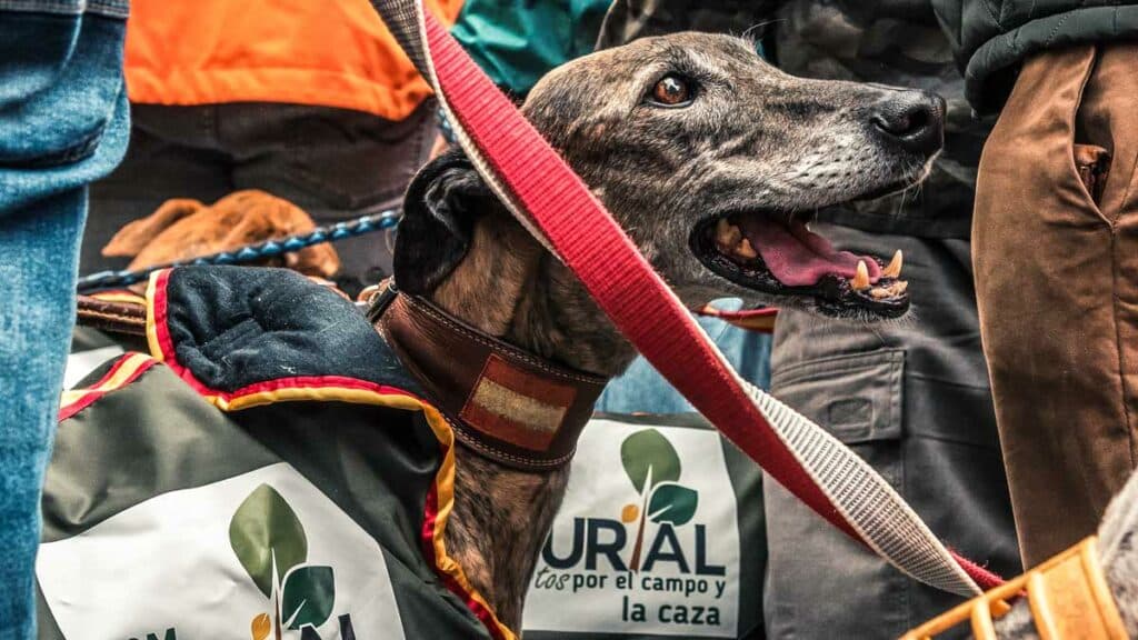 https://revistajaraysedal.es/wp-content/uploads/2021/08/pesca-galicia-puerto.jpg