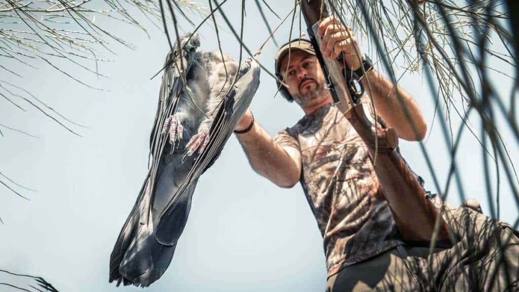 https://revistajaraysedal.es/wp-content/uploads/2021/08/pesca-galicia-puerto.jpg