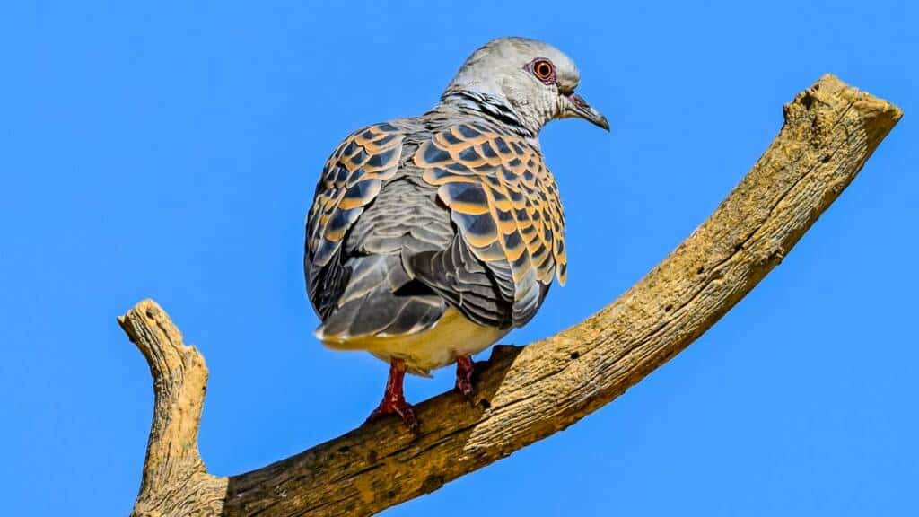 https://revistajaraysedal.es/wp-content/uploads/2021/08/pesca-galicia-puerto.jpg