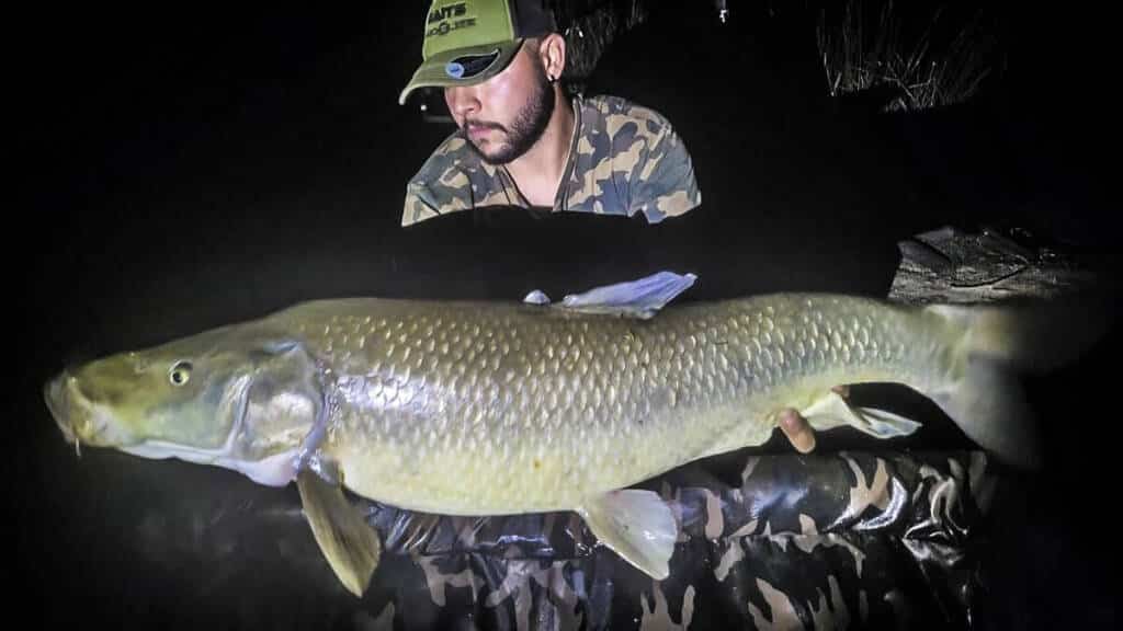 https://revistajaraysedal.es/wp-content/uploads/2021/08/pesca-galicia-puerto.jpg