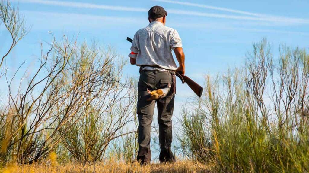 https://revistajaraysedal.es/wp-content/uploads/2021/08/pesca-galicia-puerto.jpg