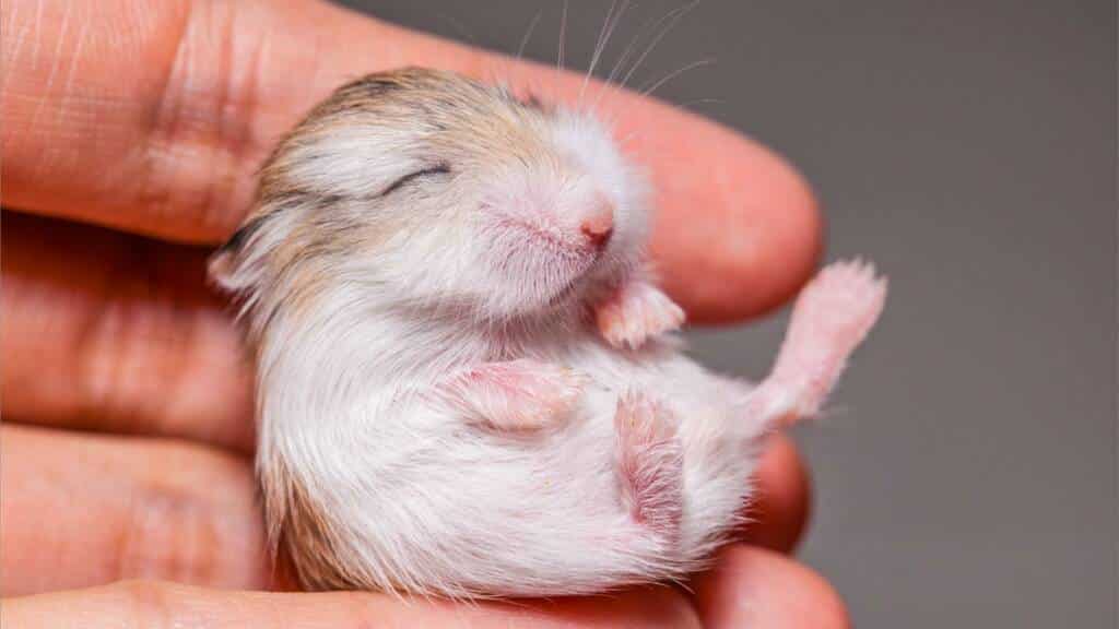 https://revistajaraysedal.es/wp-content/uploads/2021/08/pesca-galicia-puerto.jpg