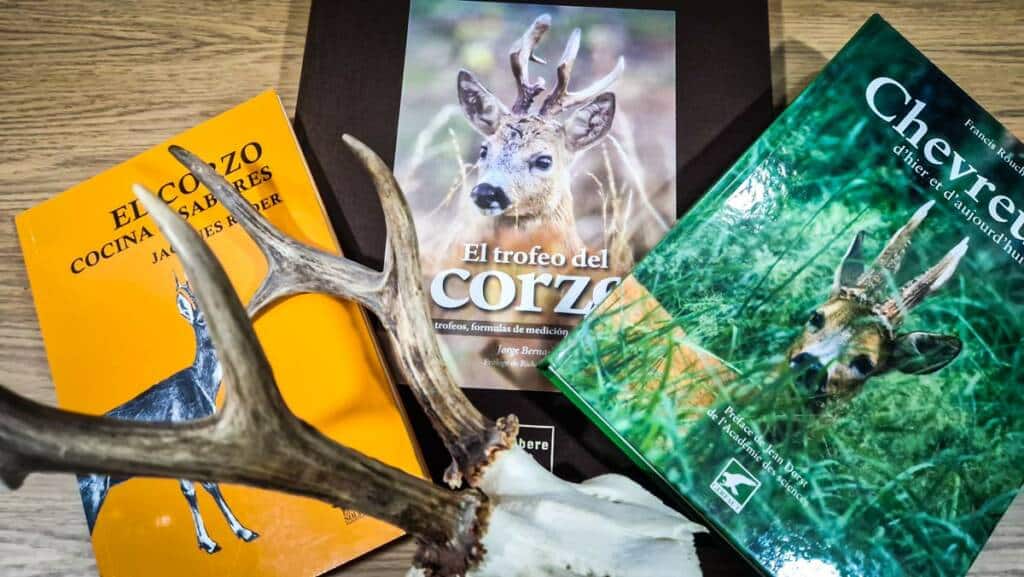 https://revistajaraysedal.es/wp-content/uploads/2021/08/pesca-galicia-puerto.jpg