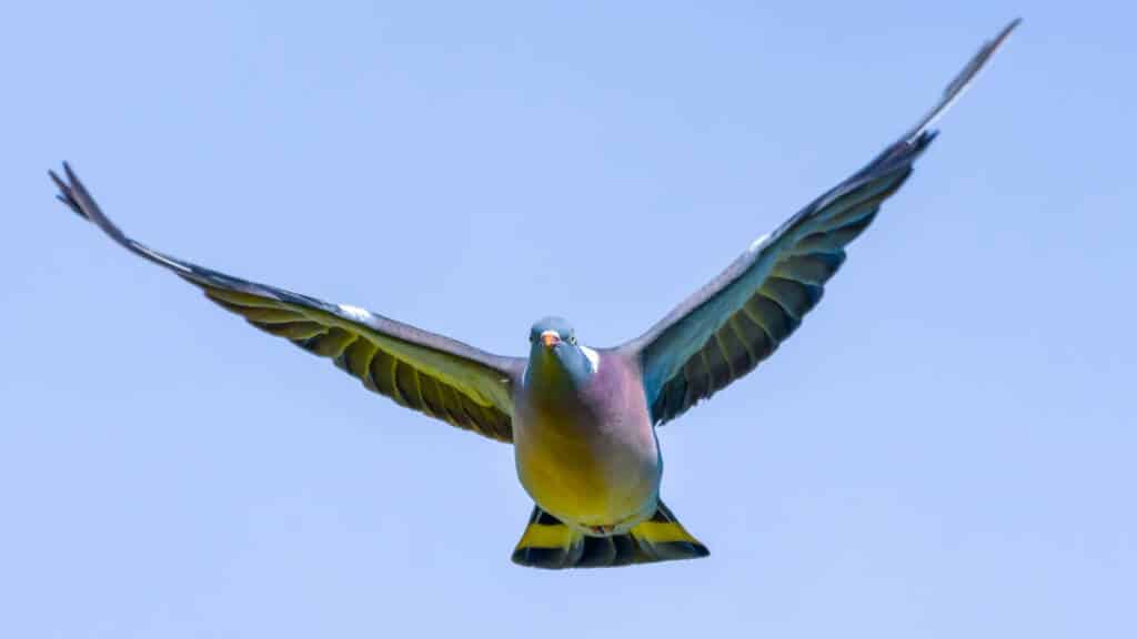 https://revistajaraysedal.es/wp-content/uploads/2021/08/pesca-galicia-puerto.jpg