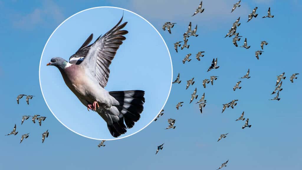 https://revistajaraysedal.es/wp-content/uploads/2021/08/pesca-galicia-puerto.jpg