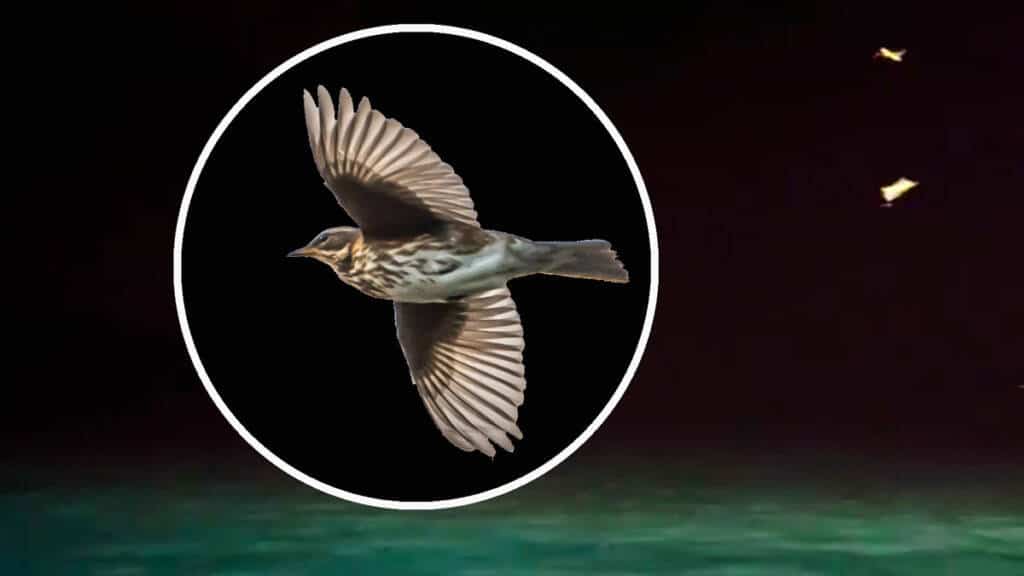 https://revistajaraysedal.es/wp-content/uploads/2021/08/pesca-galicia-puerto.jpg