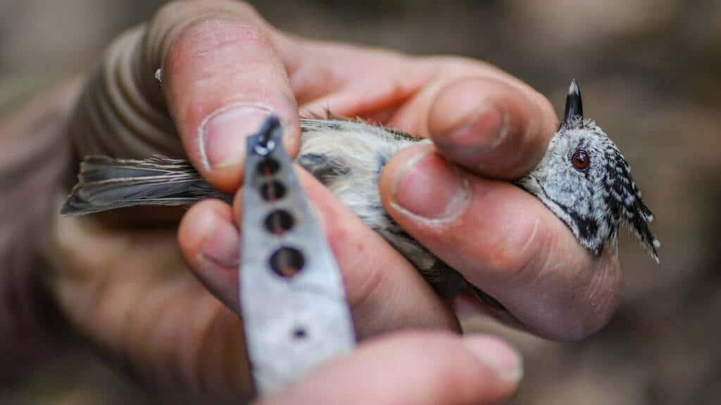 https://revistajaraysedal.es/wp-content/uploads/2021/08/pesca-galicia-puerto.jpg