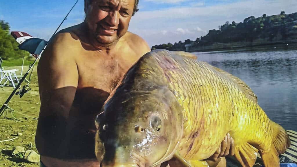 https://revistajaraysedal.es/wp-content/uploads/2021/08/pesca-galicia-puerto.jpg