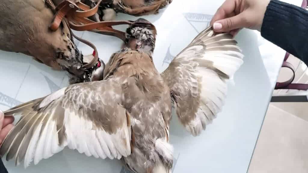 https://revistajaraysedal.es/wp-content/uploads/2021/08/pesca-galicia-puerto.jpg