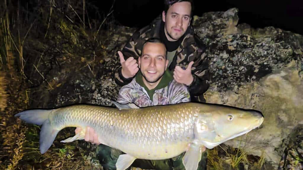 https://revistajaraysedal.es/wp-content/uploads/2021/08/pesca-galicia-puerto.jpg