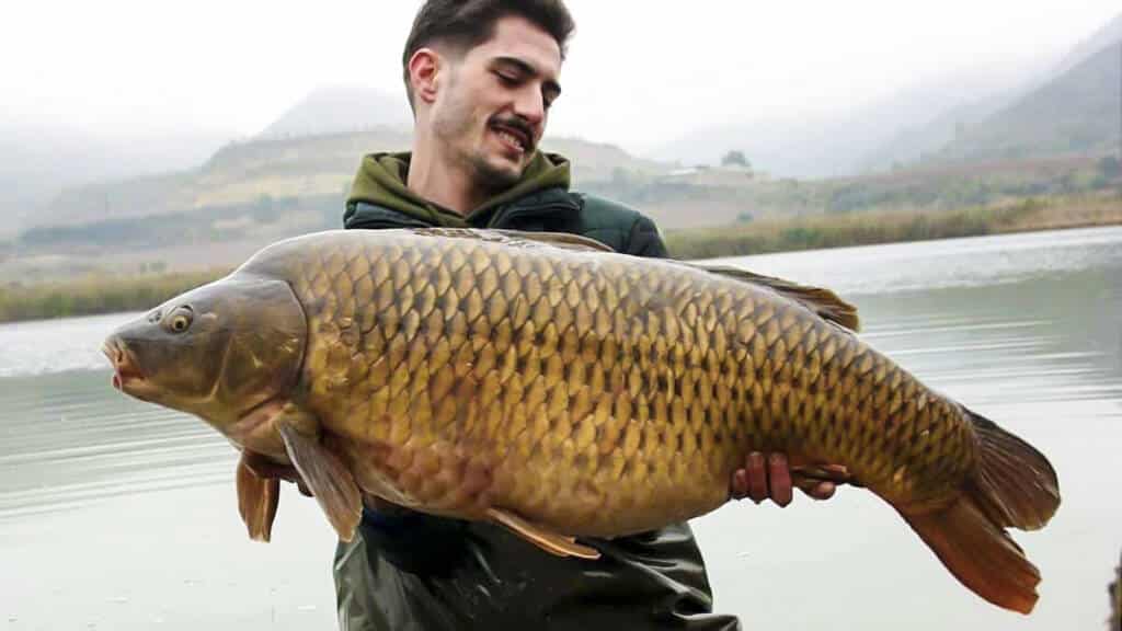 https://revistajaraysedal.es/wp-content/uploads/2021/08/pesca-galicia-puerto.jpg
