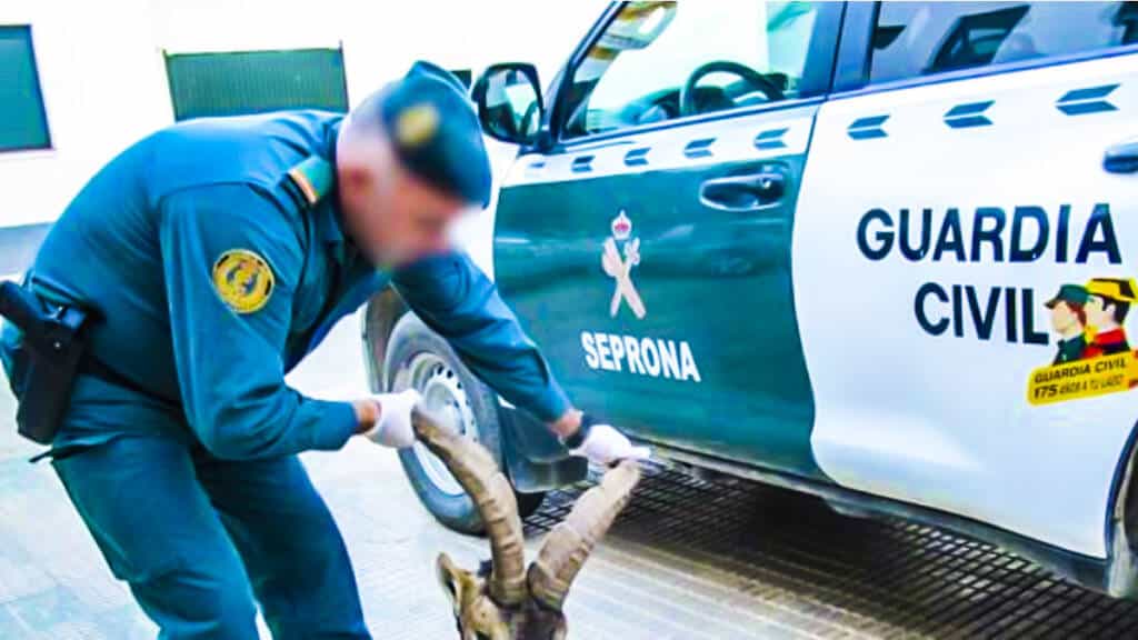 https://revistajaraysedal.es/wp-content/uploads/2021/08/pesca-galicia-puerto.jpg