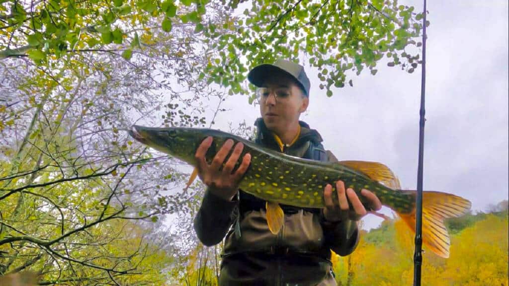 https://revistajaraysedal.es/wp-content/uploads/2021/08/pesca-galicia-puerto.jpg